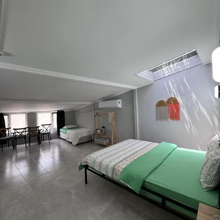 Macaron Midi House *